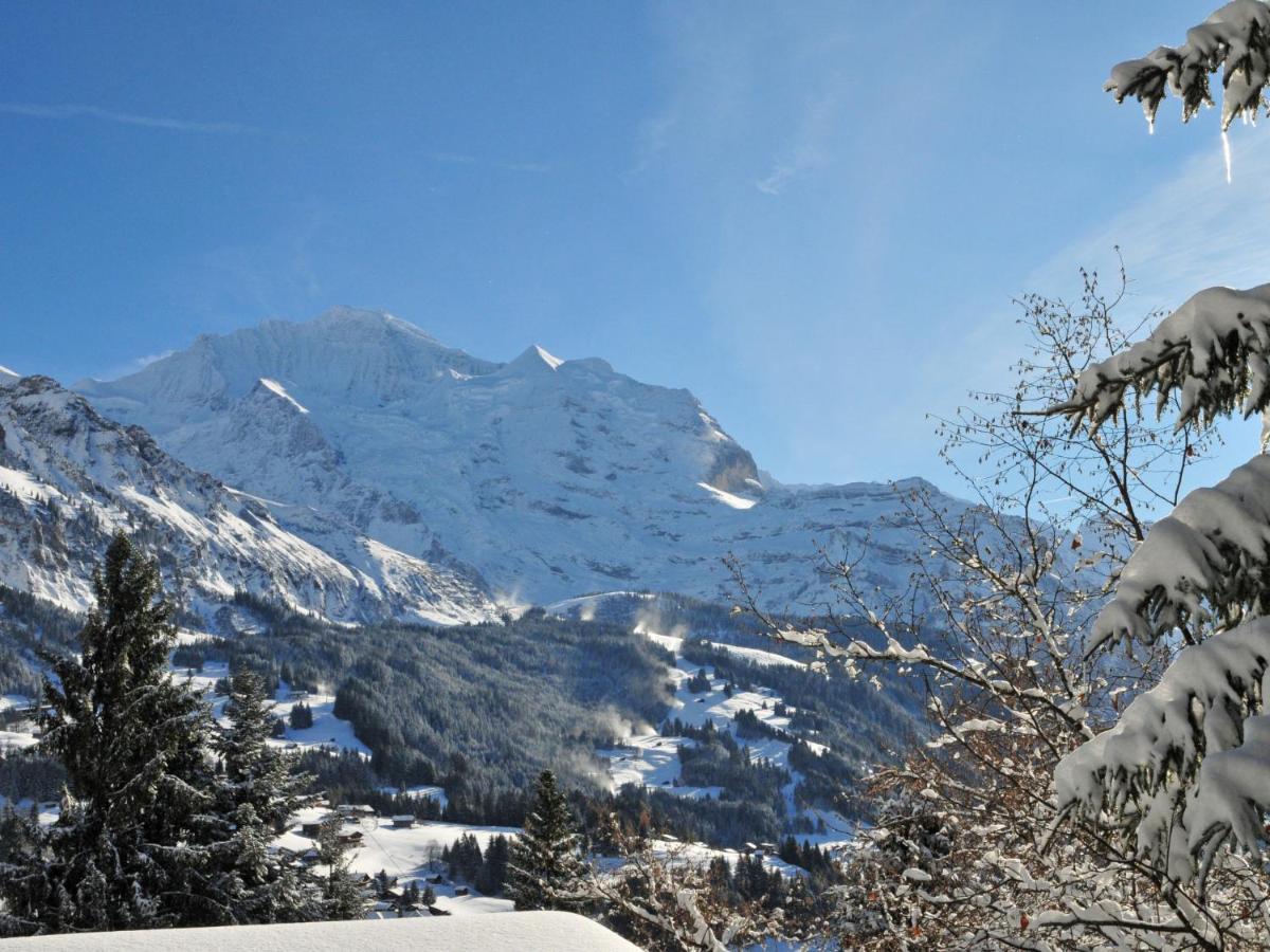 Apartment Bristol Apt-K By Interhome Wengen Esterno foto